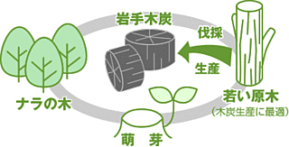 環境循環図 環境循環図